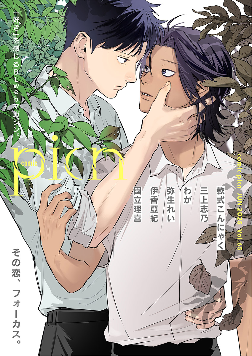 comic picn 65
