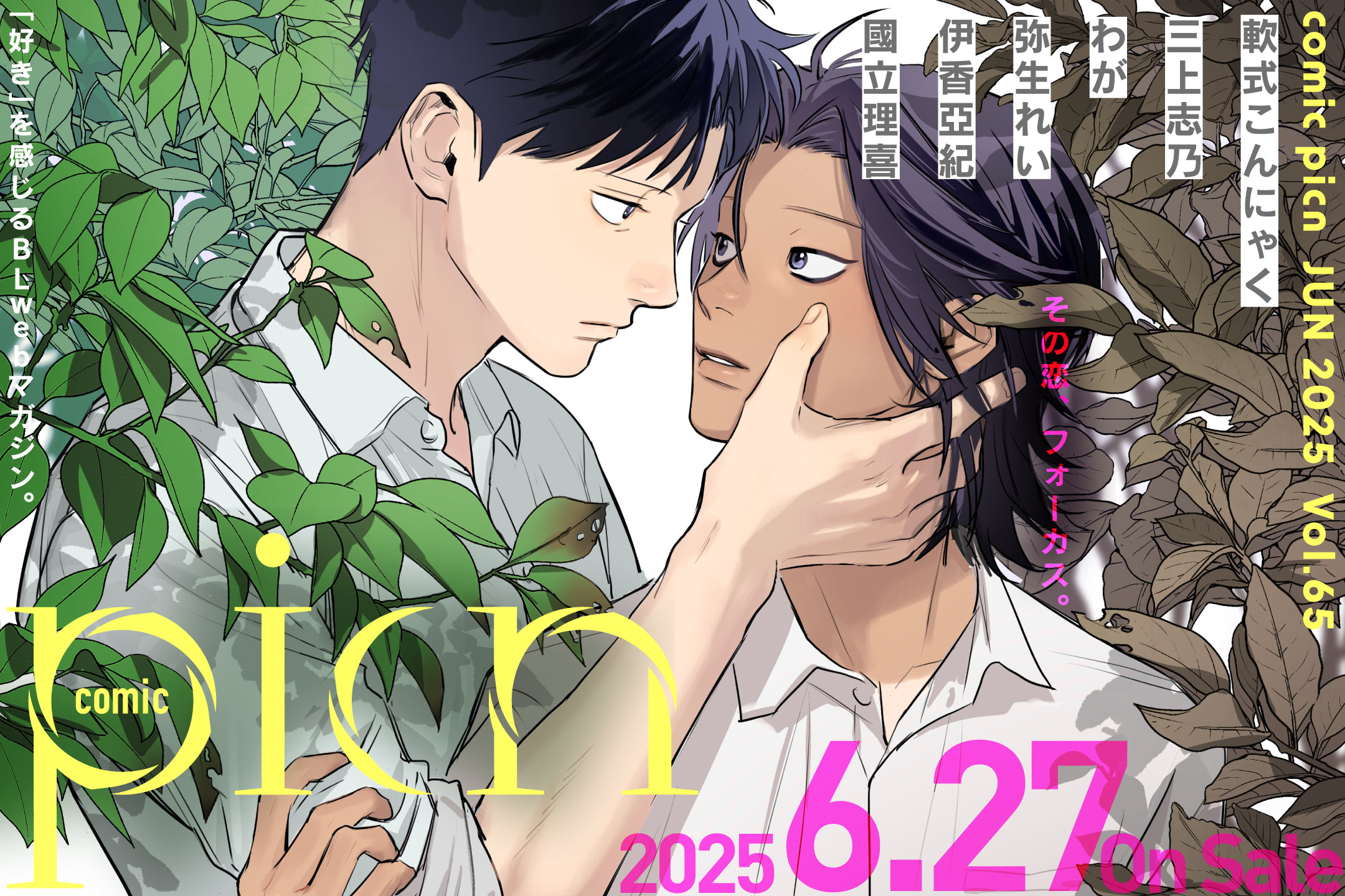 comic picn vol.65